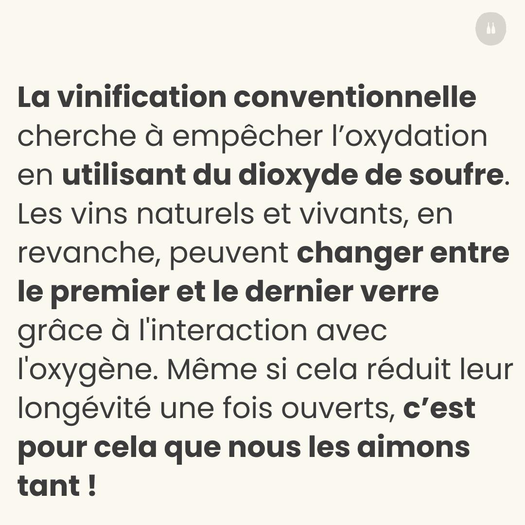 La vinificazione convenzionale mira a prevenire l'ossidazione utilizzando il diossido di zolfo. I vini naturali e vivi, al contrario, possono variare da un calice all'altro grazie alla loro interazione con l'ossigeno. Anche se questo riduce la loro longevità una volta aperti, è proprio per questo che li amiamo così tanto!